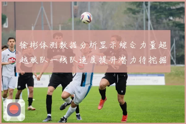 徐彬体测数据分析显示综合力量超越狼队一线队速度提升潜力待挖掘